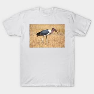 Marabou Stork, Leptoptilos crumeniferus, Kenya T-Shirt